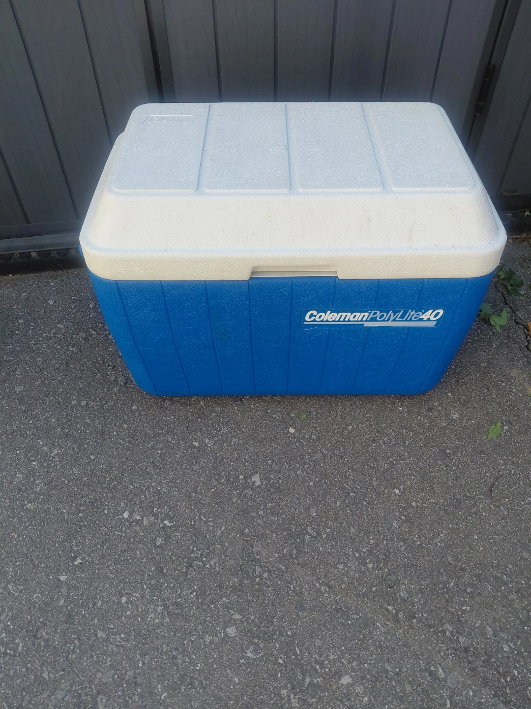COLEMAN COOLER AND 2L JUG