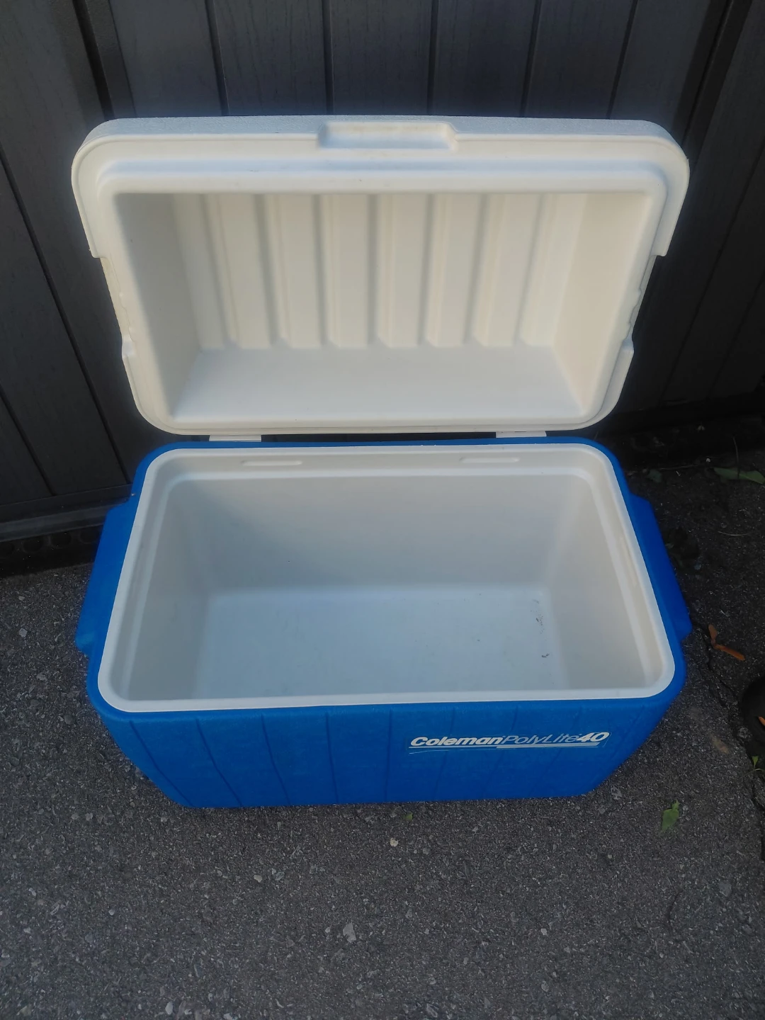 COLEMAN COOLER AND 2L JUG - photo 2