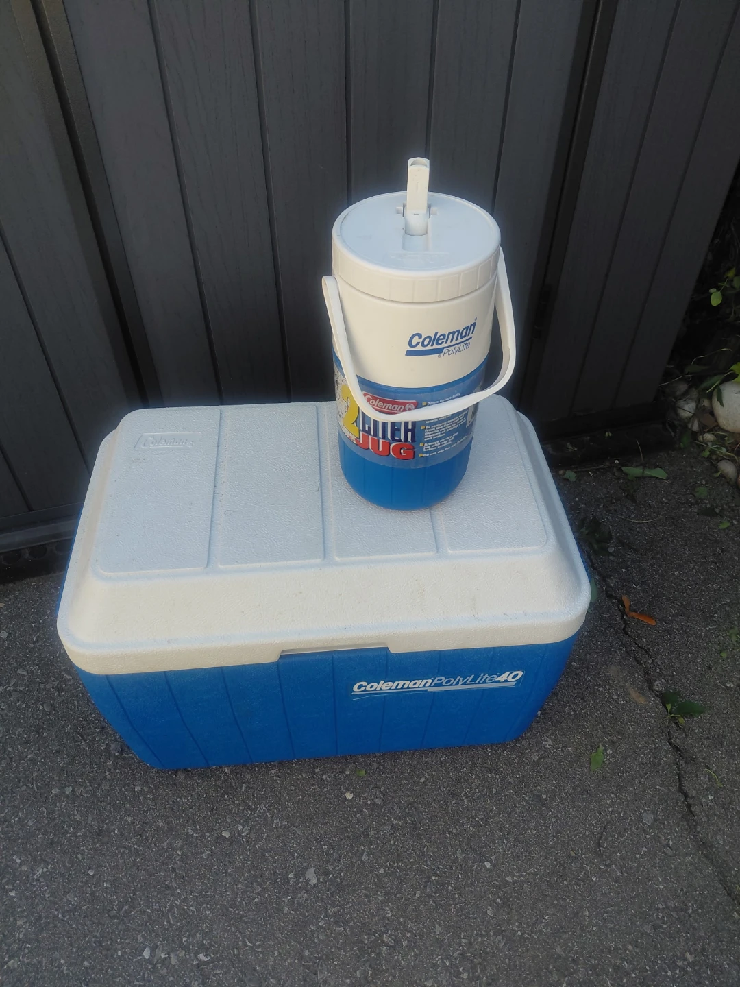 COLEMAN COOLER AND 2L JUG - photo 3