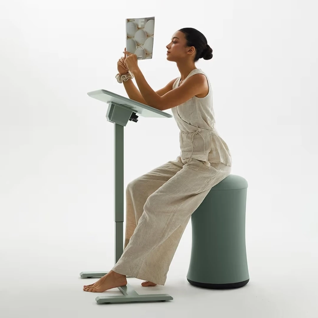 AnyDesk Nest Pro Sit Standing Desk - photo 3