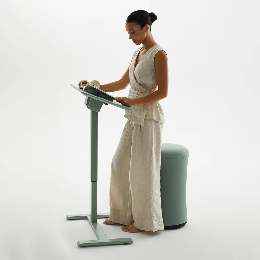 AnyDesk Nest Pro Sit Standing Desk - photo 4
