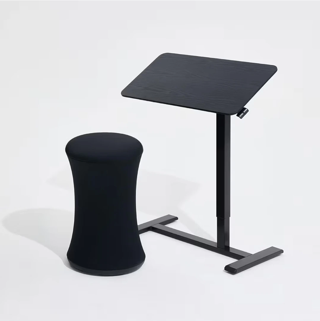 AnyDesk Nest Pro Sit Standing Desk - photo 5