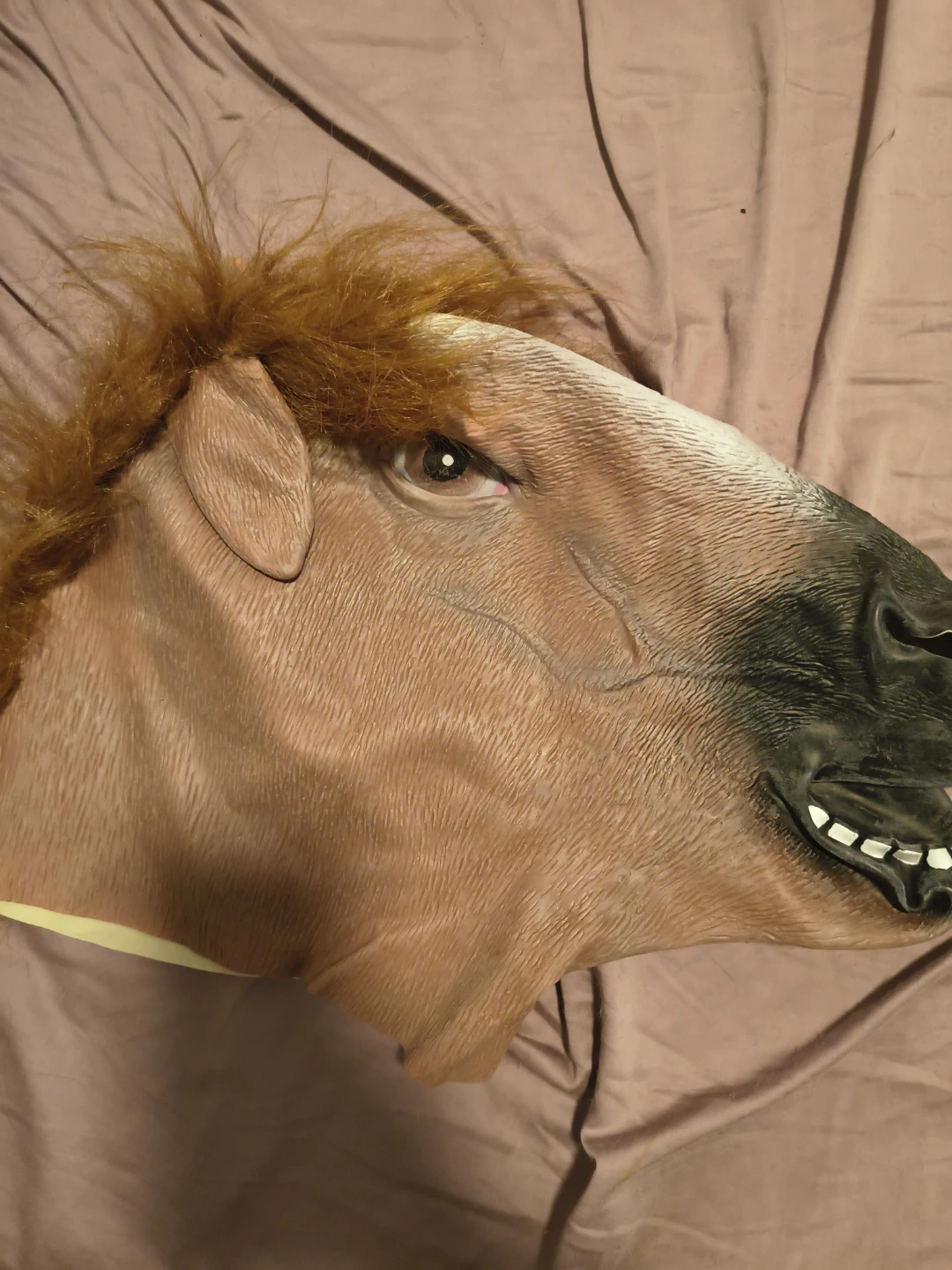 Horse Mask with Mane