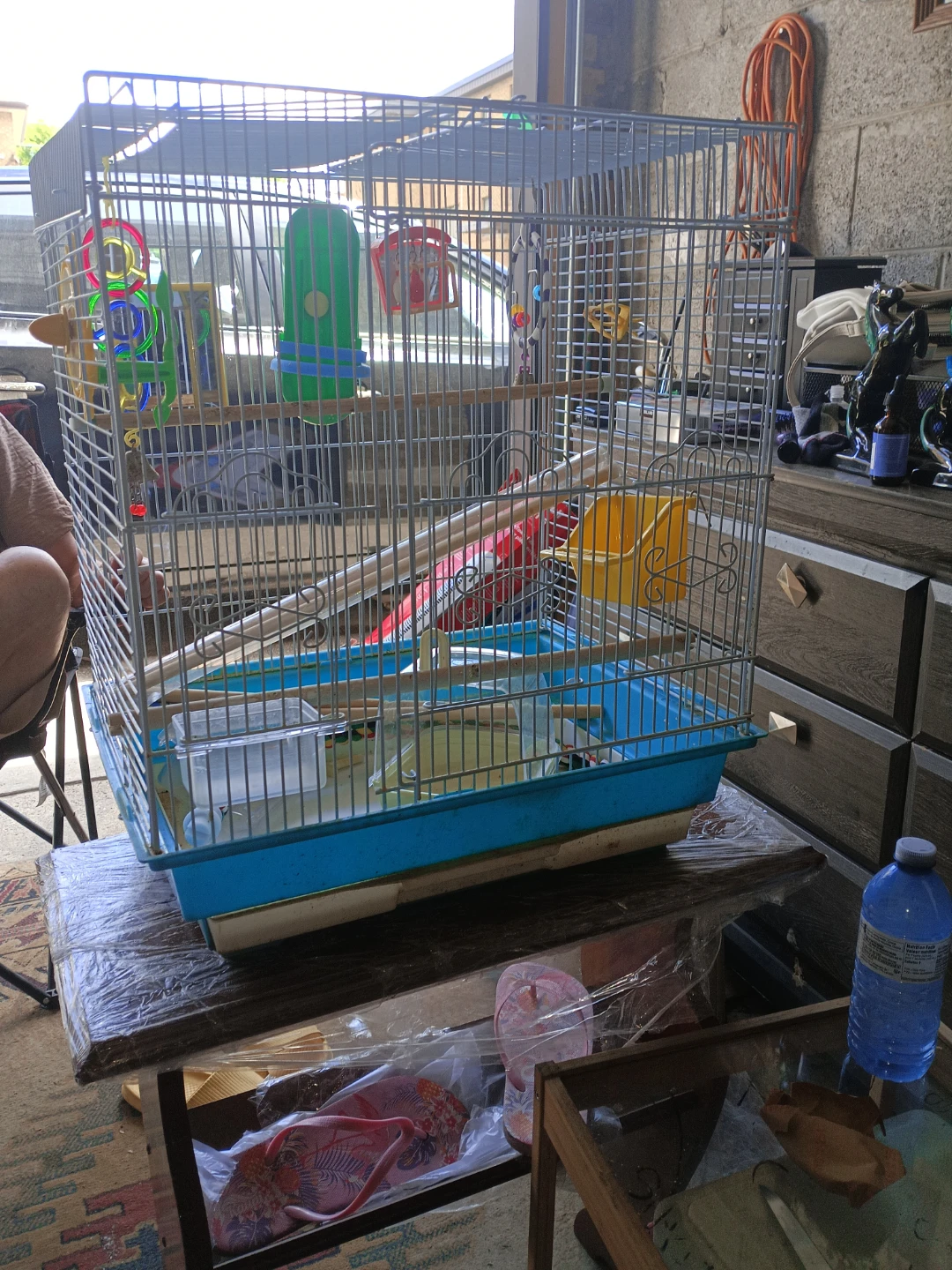 Blue Bird Cage