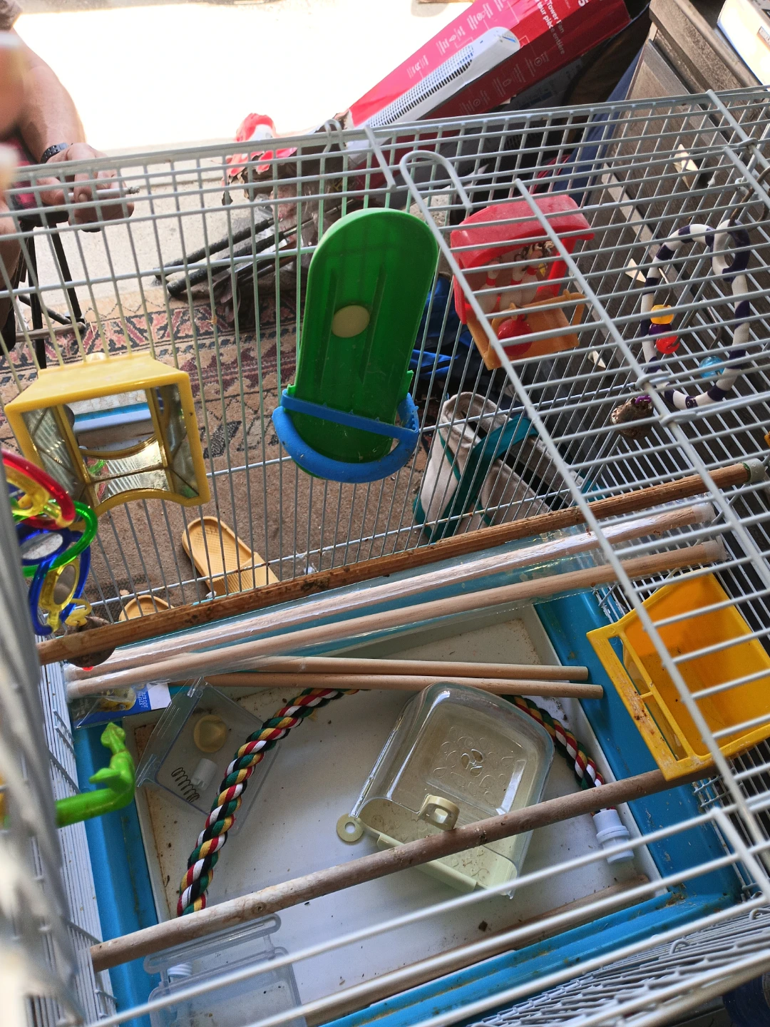 Blue Bird Cage - photo 2
