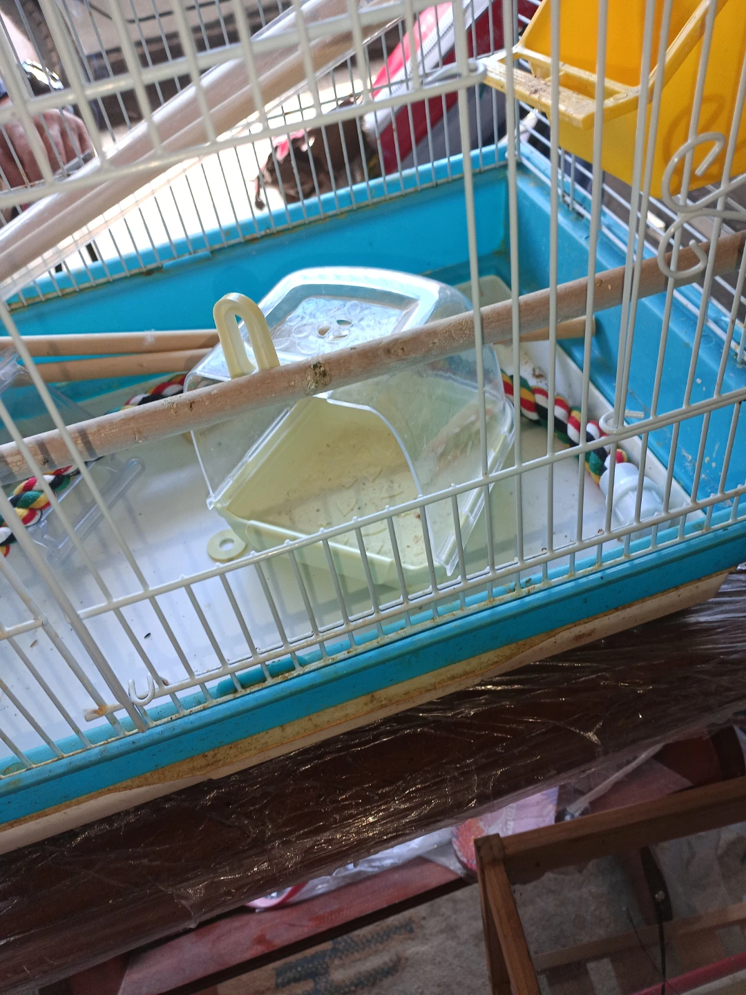 Blue Bird Cage - photo 3