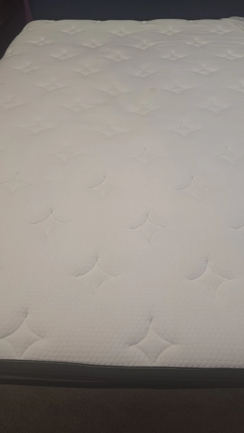 Full or double Used Mattress bug nd pet free