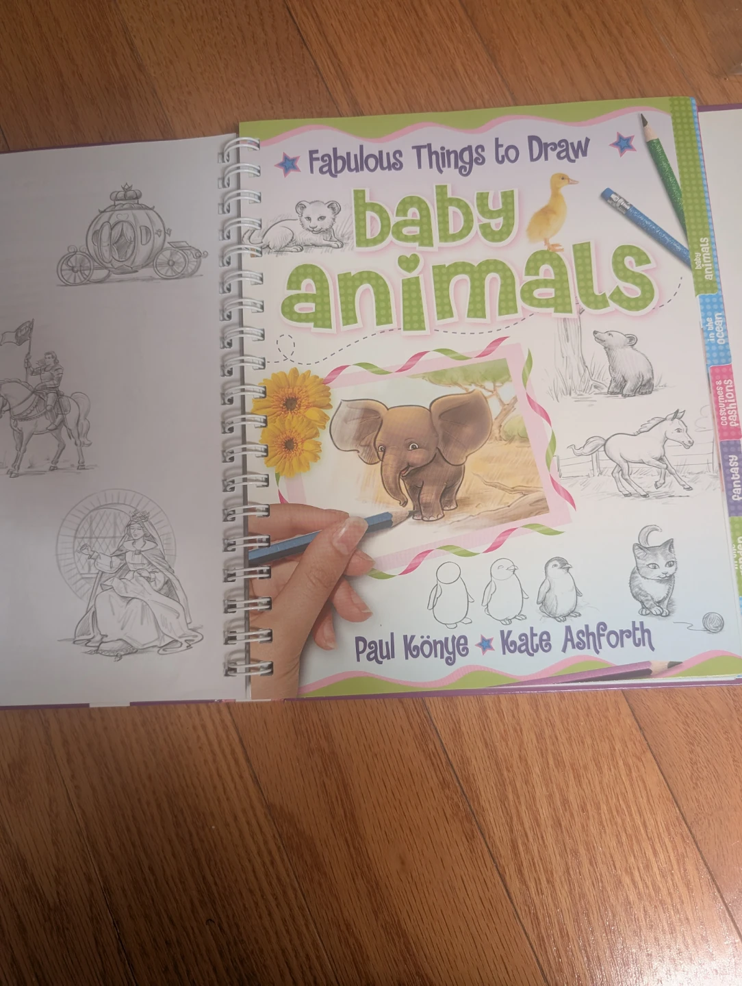Fabulous Things to Draw Book - photo 5