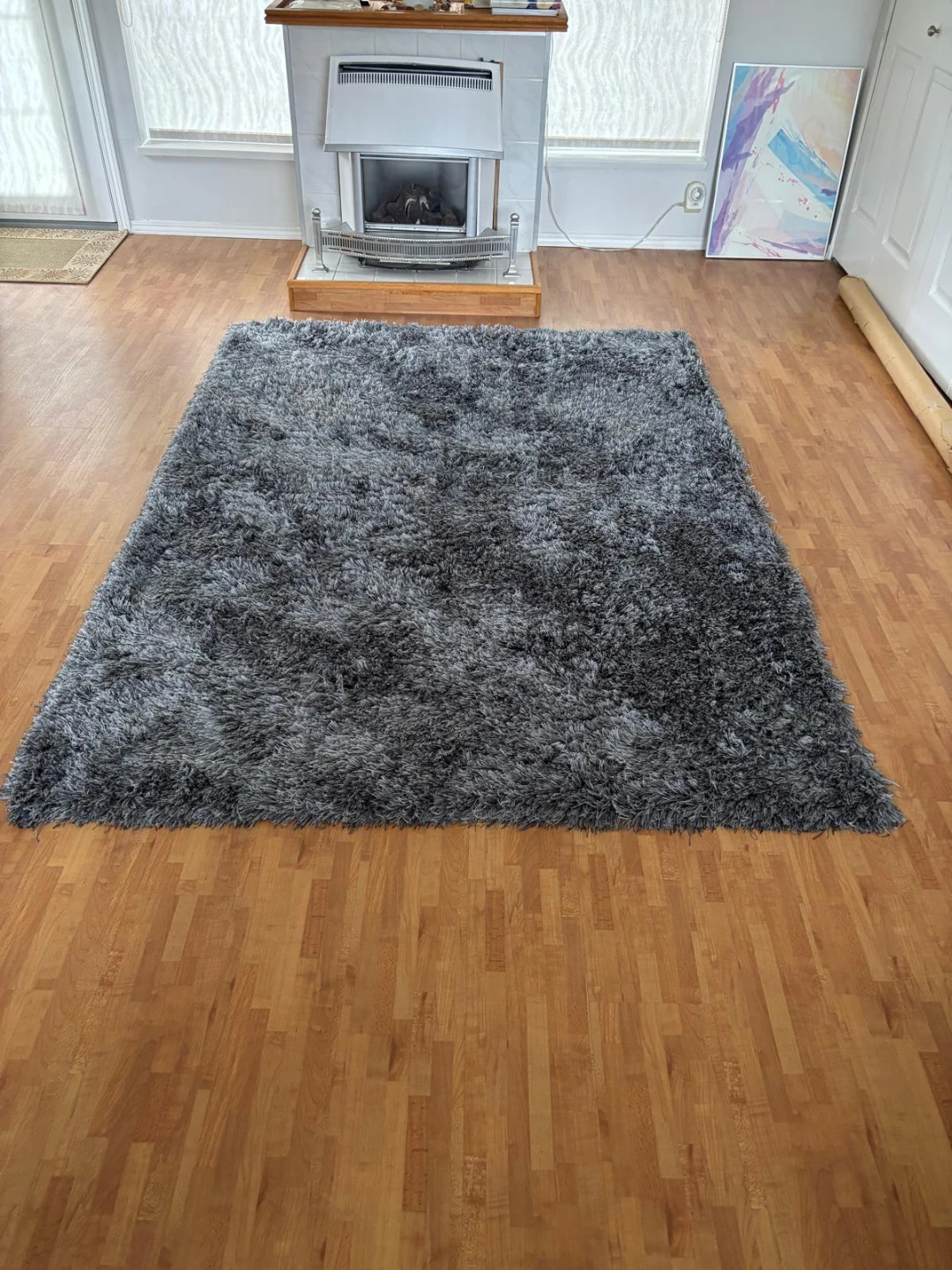 Shag Area Rug