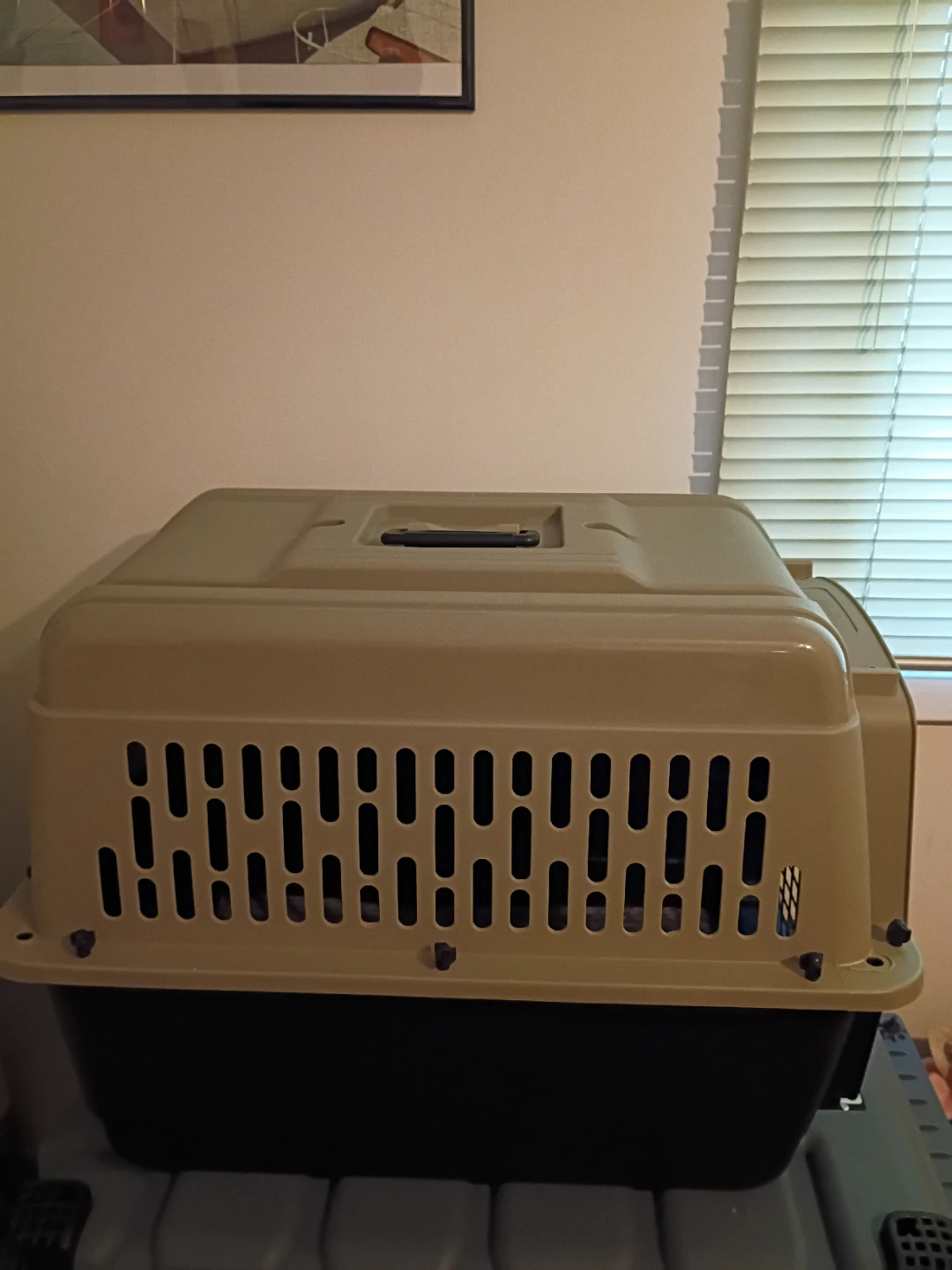 Top Paw Pet Carrier medium - photo 2