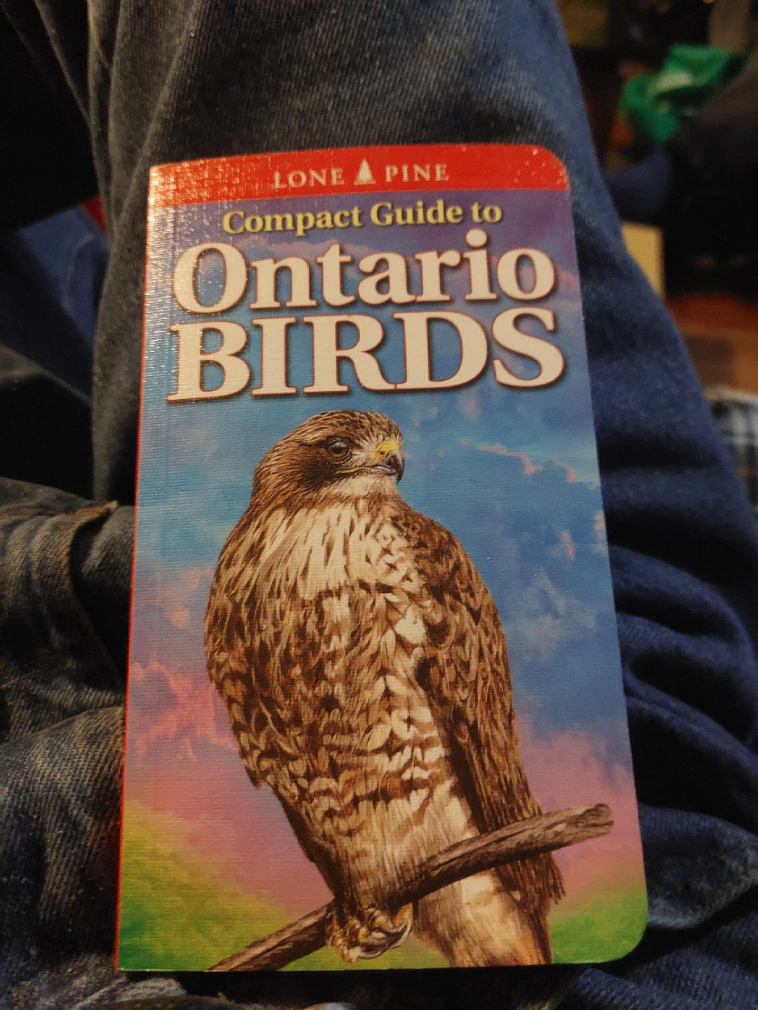 Lone Pine Compact Guide to Ontario Birds