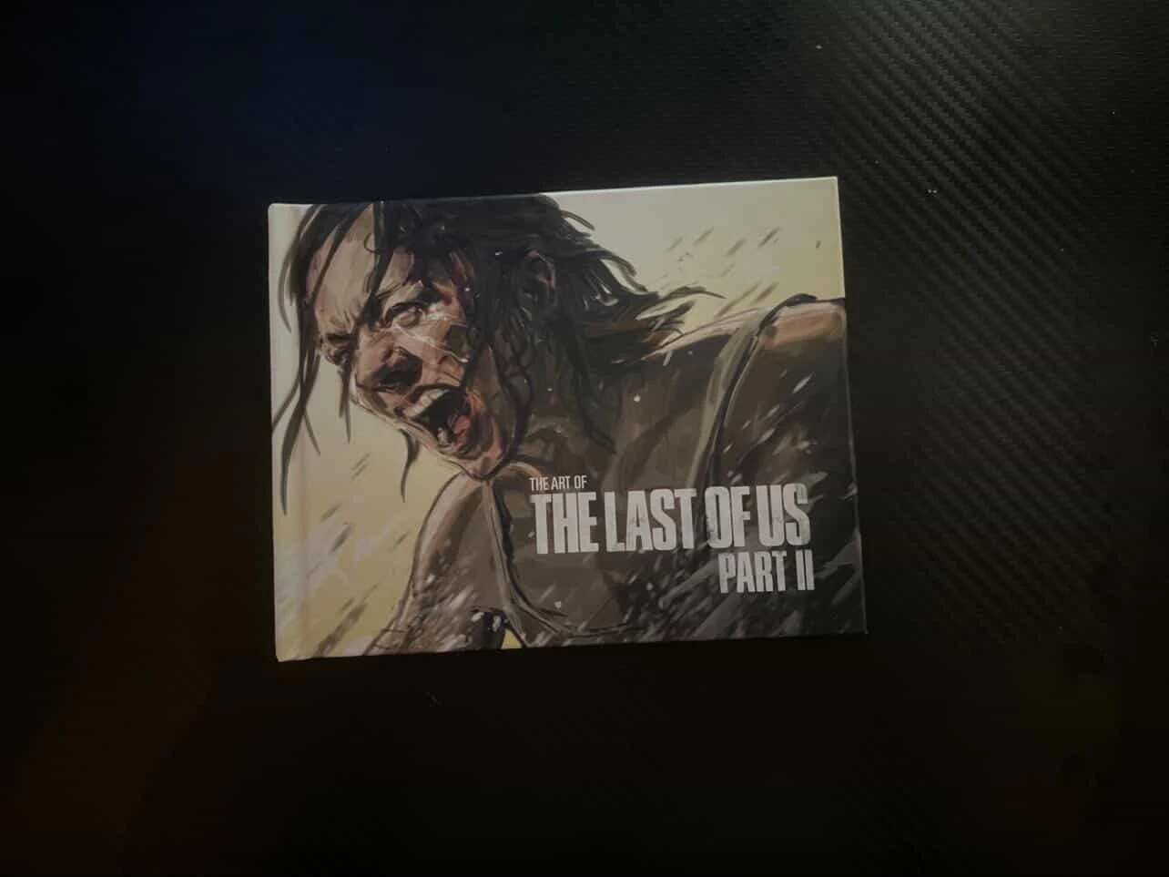 The Last of Us Part II Ellie Statue - photo 4