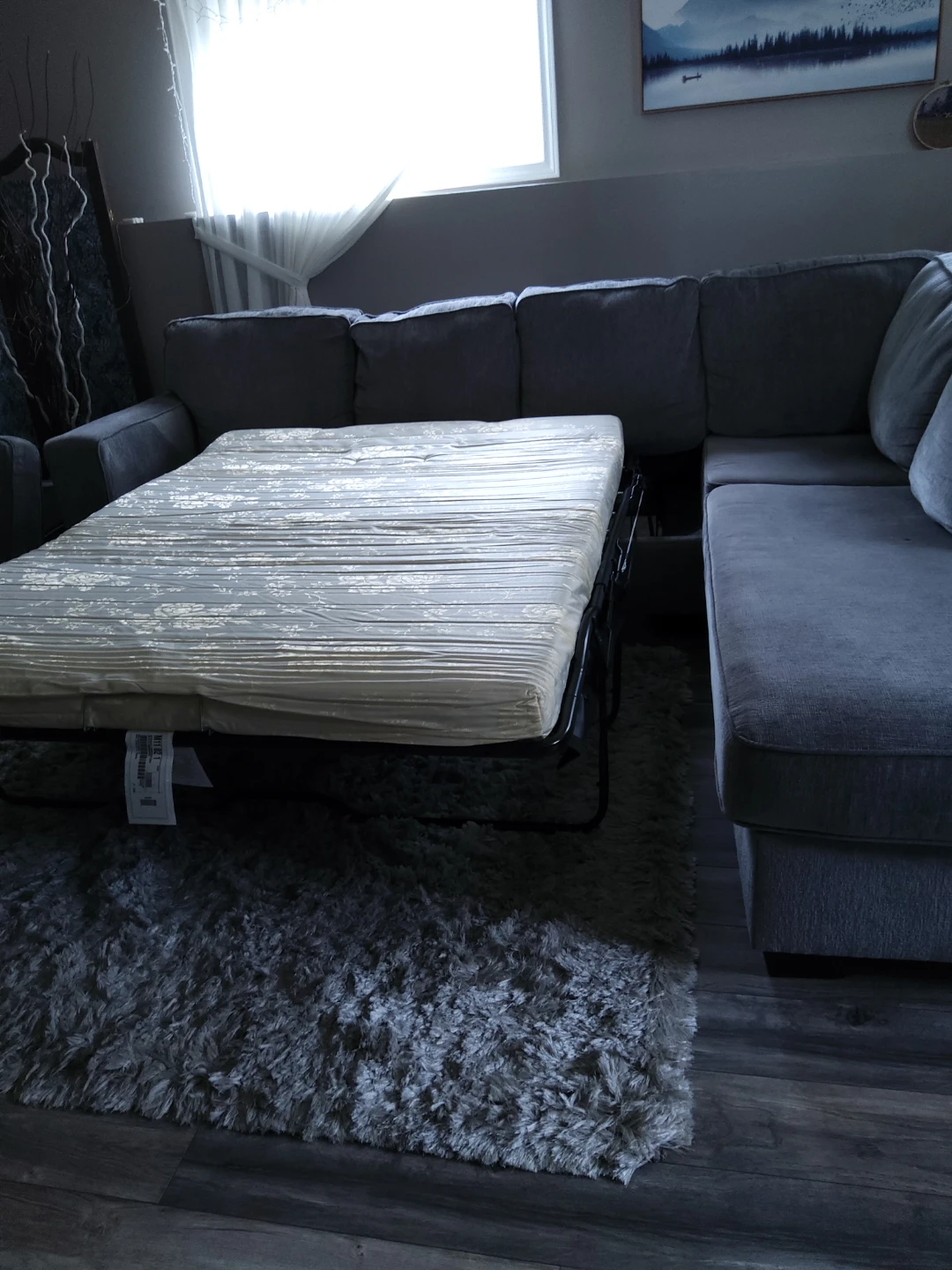 Sofa sleeper with corner chaise - photo 3