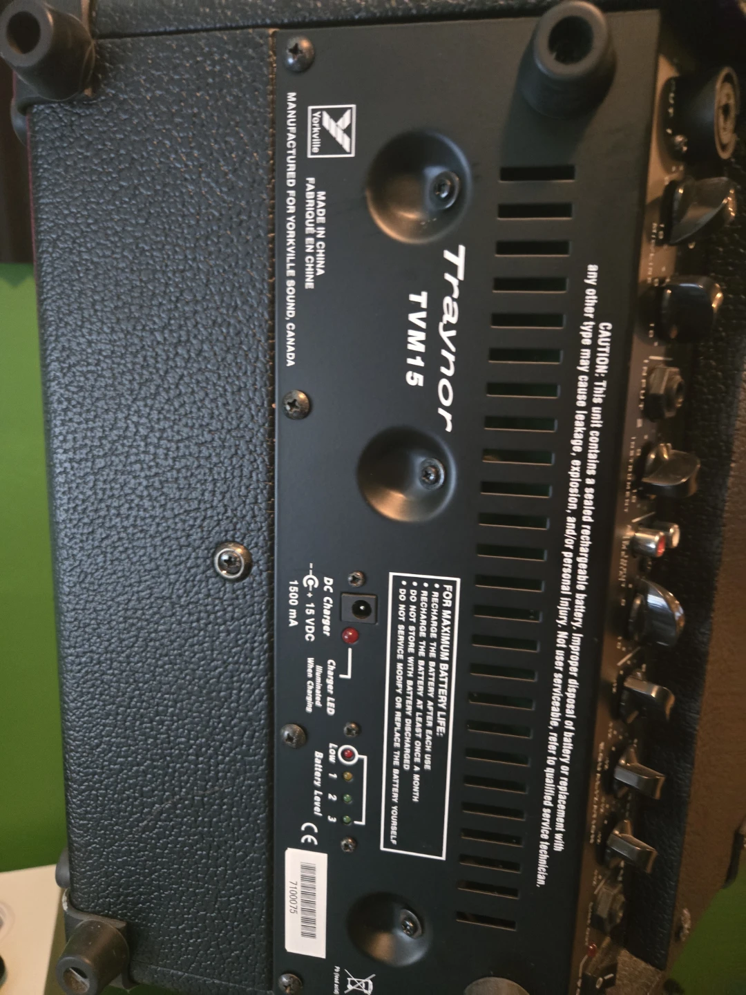 Traynor TVM15 Monitor Speaker x2 - photo 2
