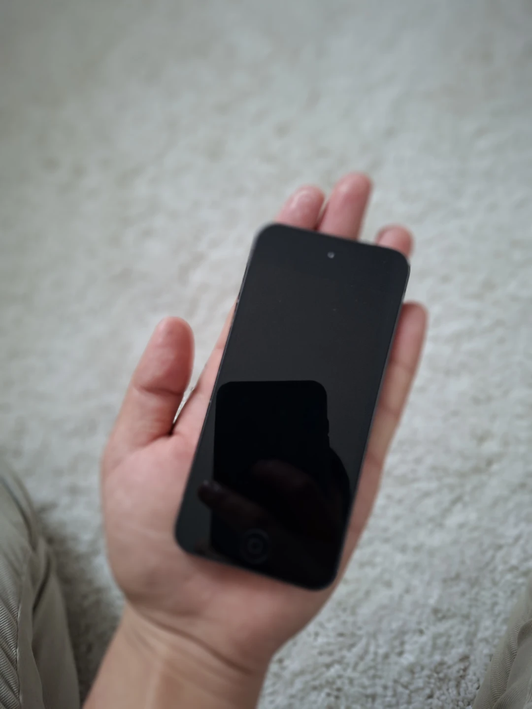 Apple iPod Touch - photo 3