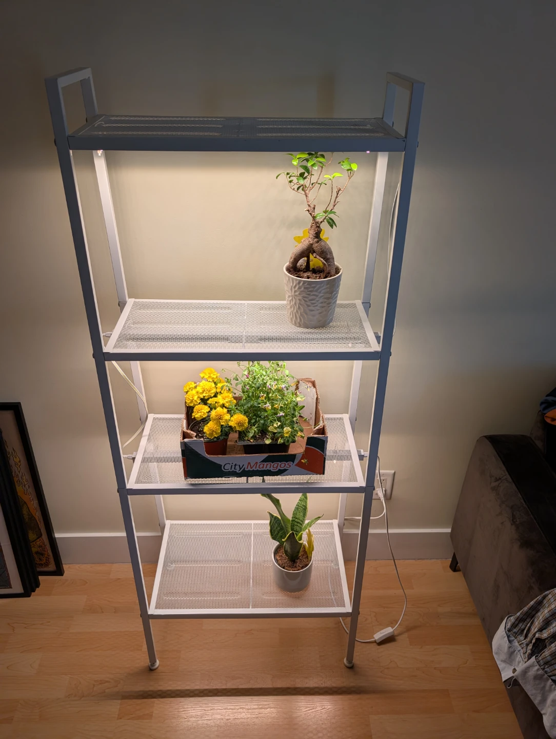 4 Tier Metal Ladder Shelf with Grow Lights - photo 2