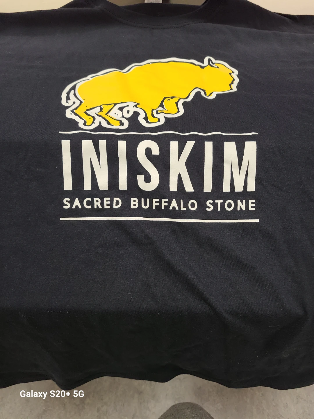Iniskim Sacred Buffalo Stone T-Shirt