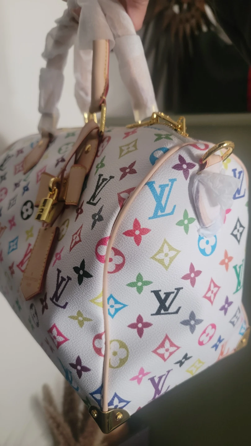 Louis Vuitton  Multicolore Monogram