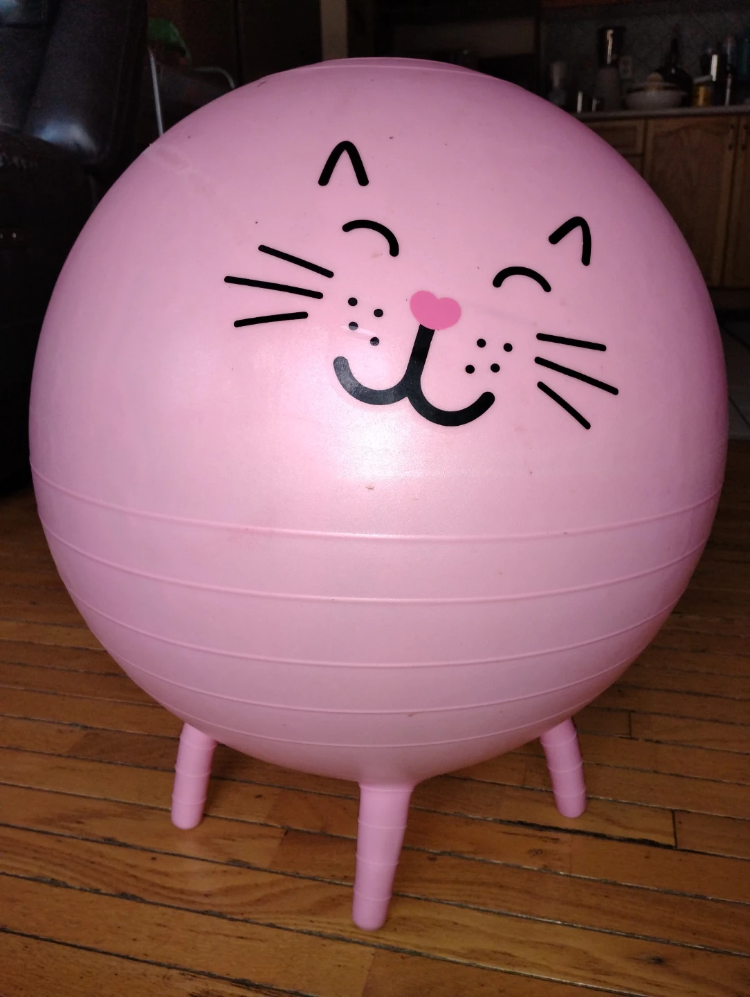 Pink Hopping Ball with Face