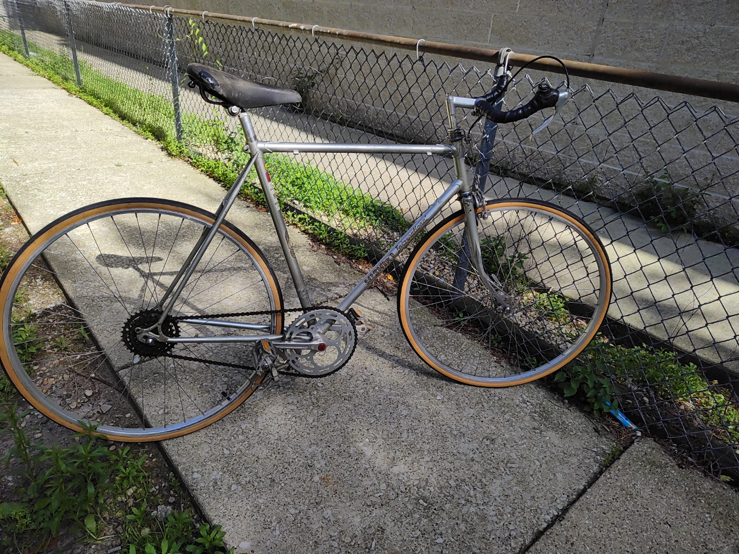Silver Nishiki single speed road bike w/ new tires