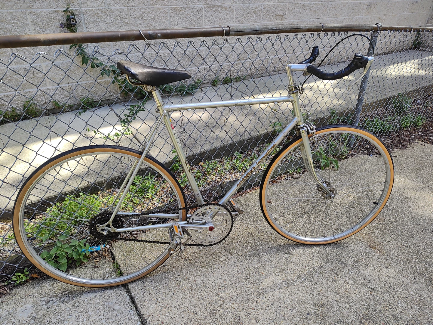 Silver Nishiki single speed road bike w/ new tires - photo 4