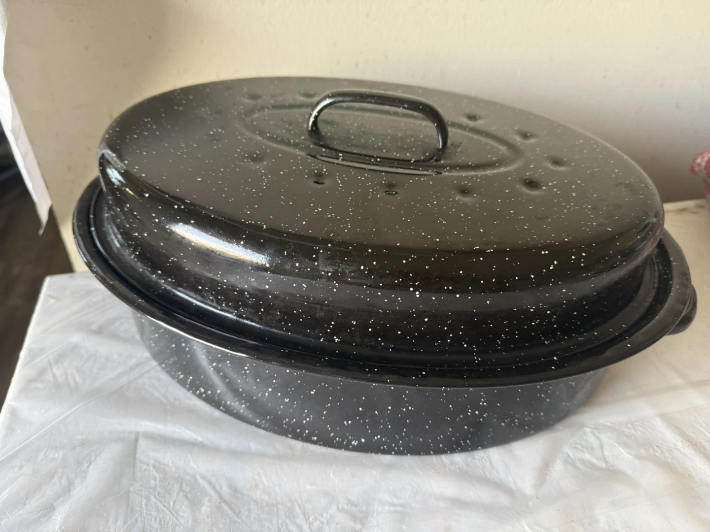 Black Speckle Roasting Pan with Lid