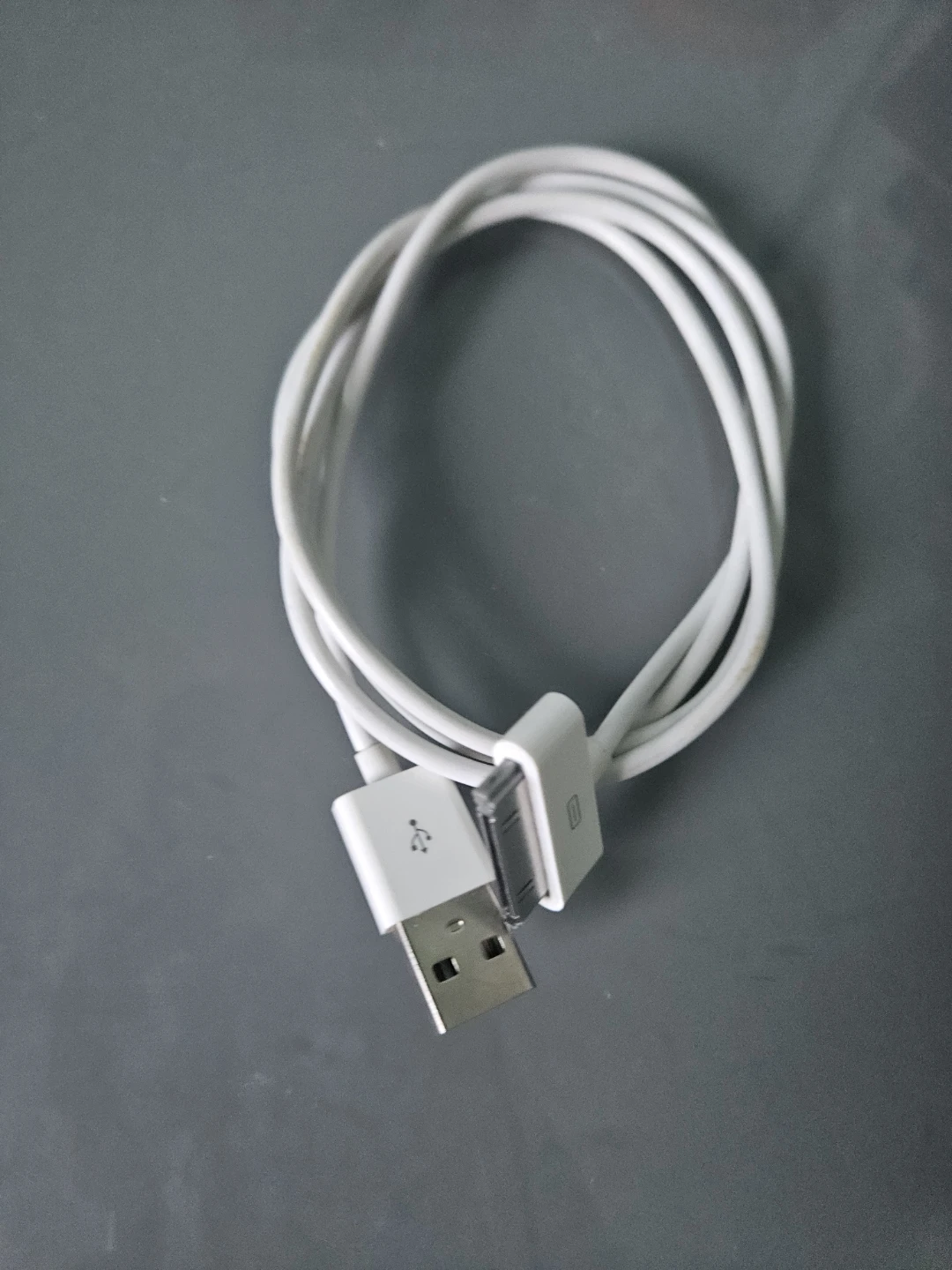 Old Apple ipod/iPad charger (white)