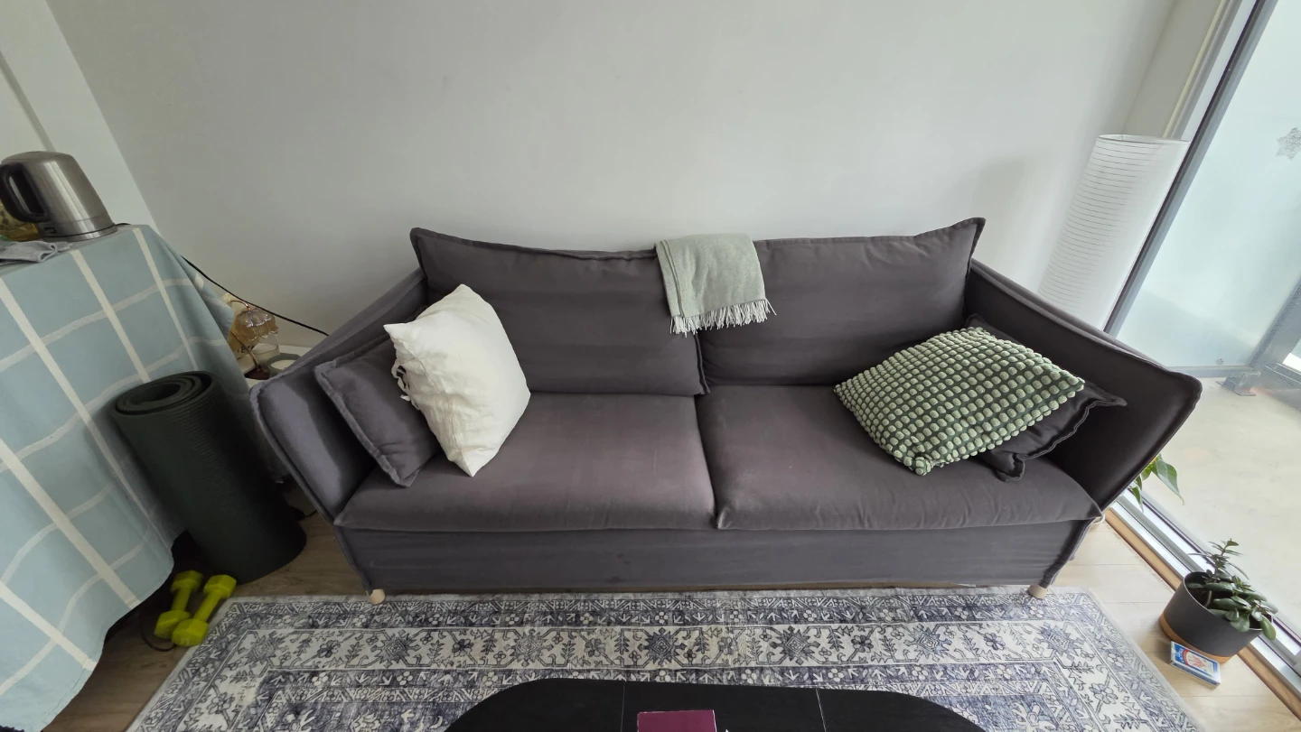 IKEA BACKSÄLEN 3-seat sofa, Hallarp grey - photo 2