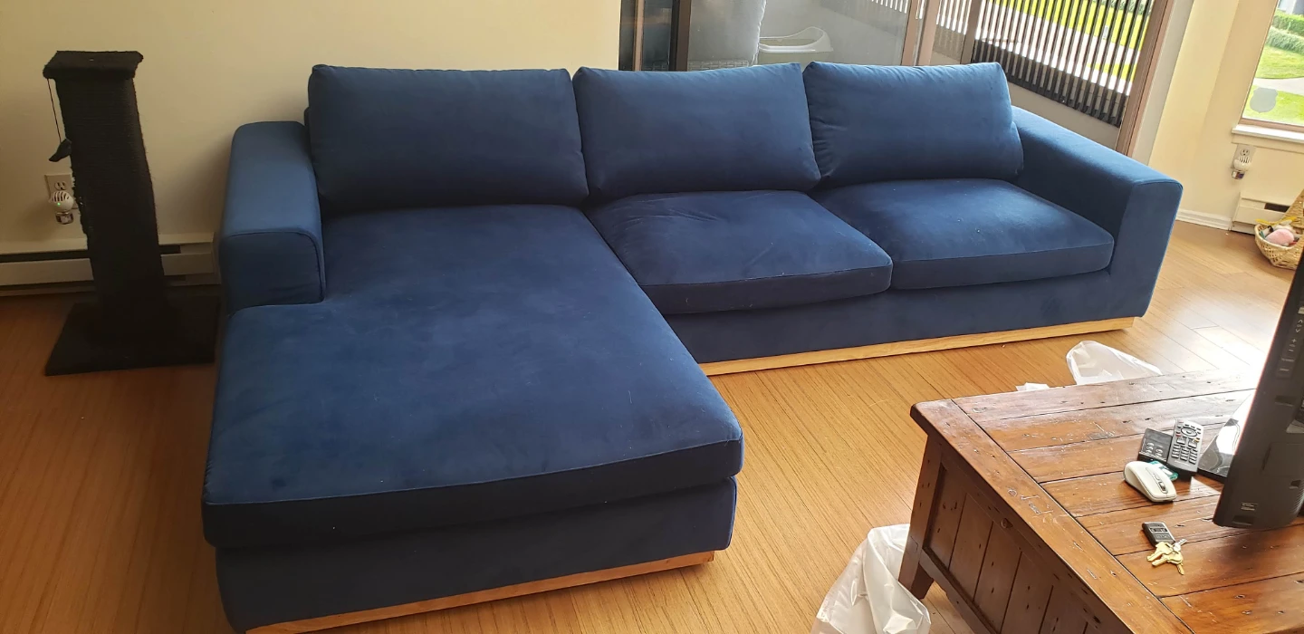 Blue Rove Concepts Noah Sectional Couch (Cushions need Filling)
