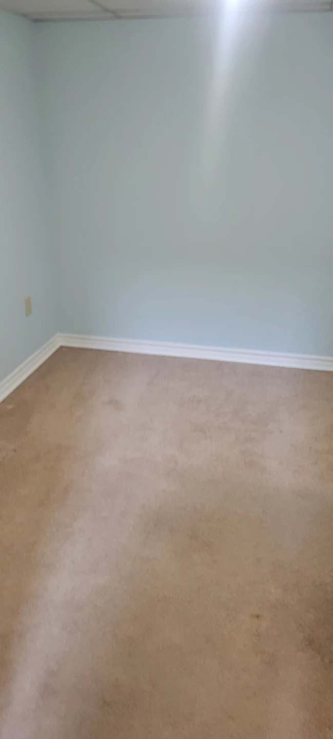 2 bedroom basement apartment - photo 5