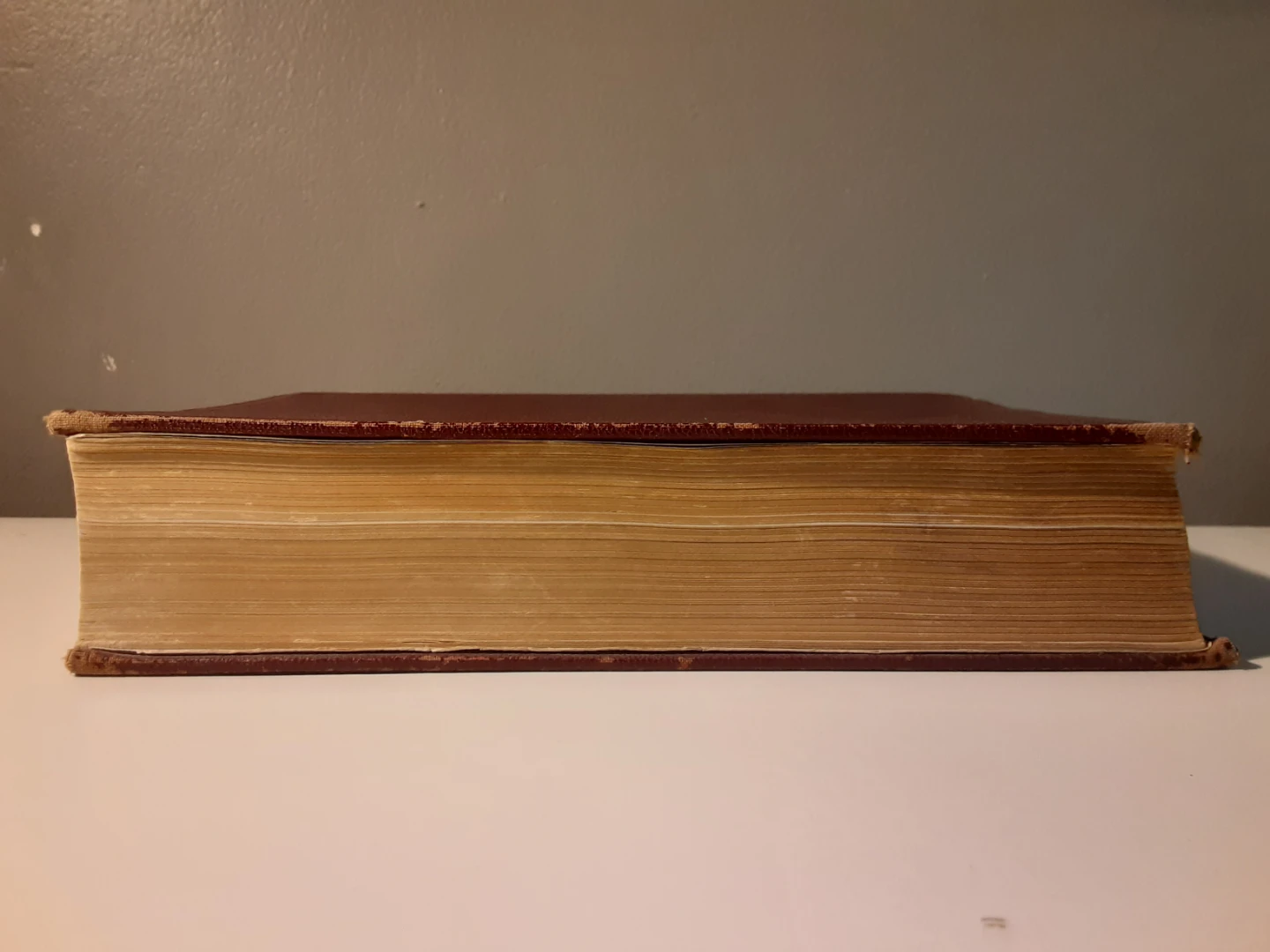 Bacteriology, Haematology & Parasitology - 9th Ed (1938) - photo 4