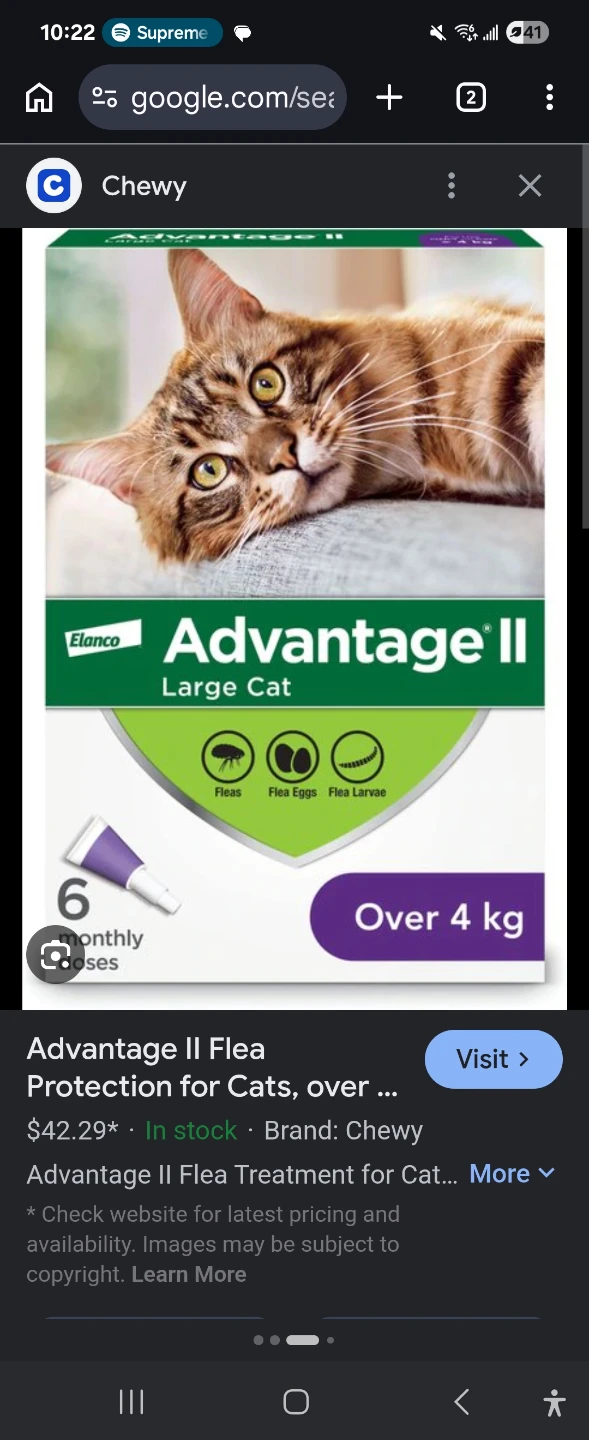 Cat Flea Treatment Advantage 2 - photo 2