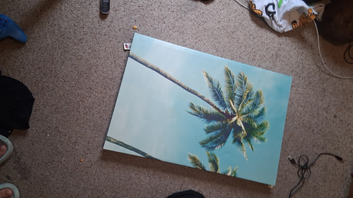 Palm Tree Canvas Wall Art