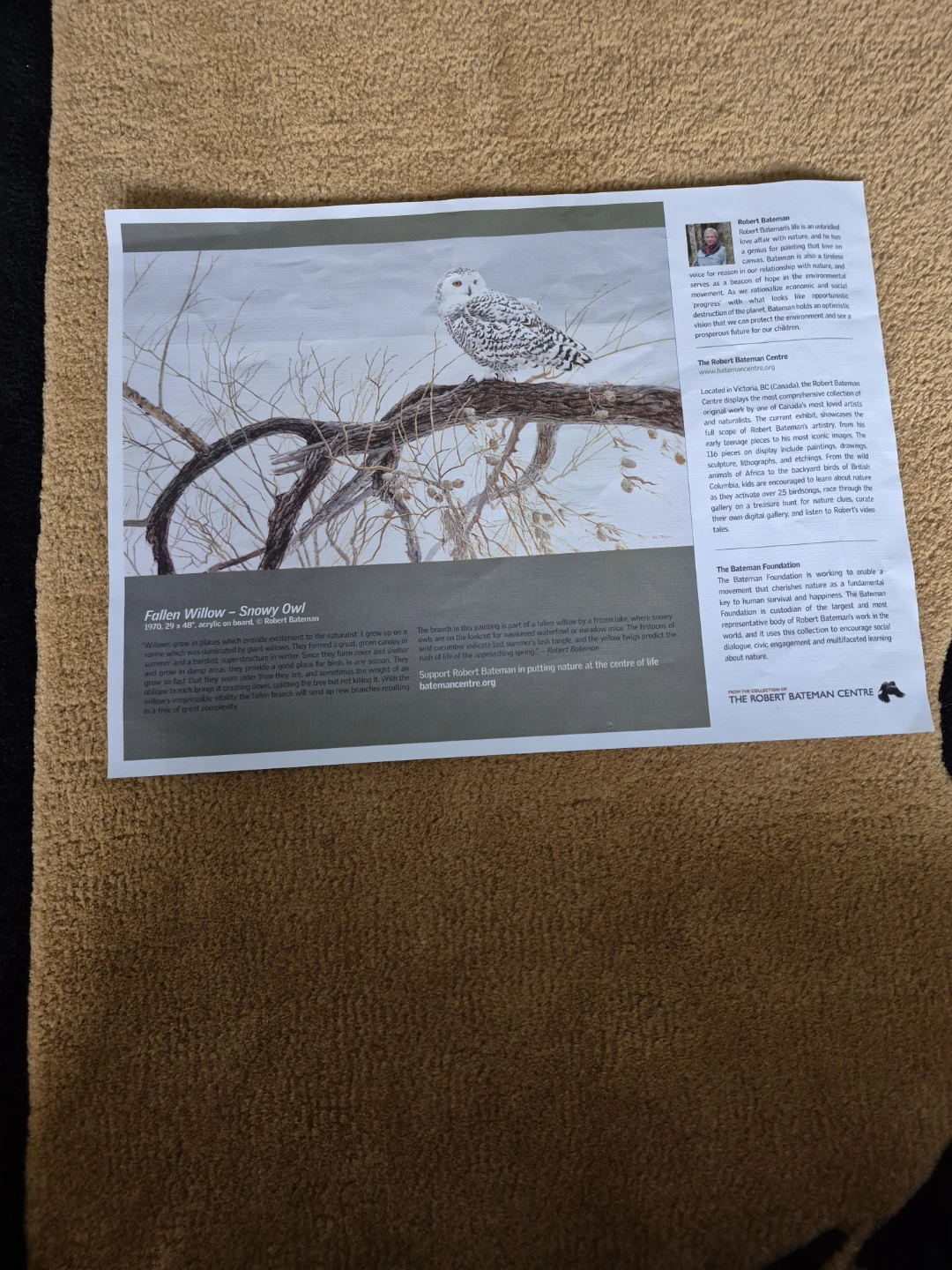 Cobble Hill Puzzle Company "Fallen Willow - Snowy Owl" 500 Piece - photo 2