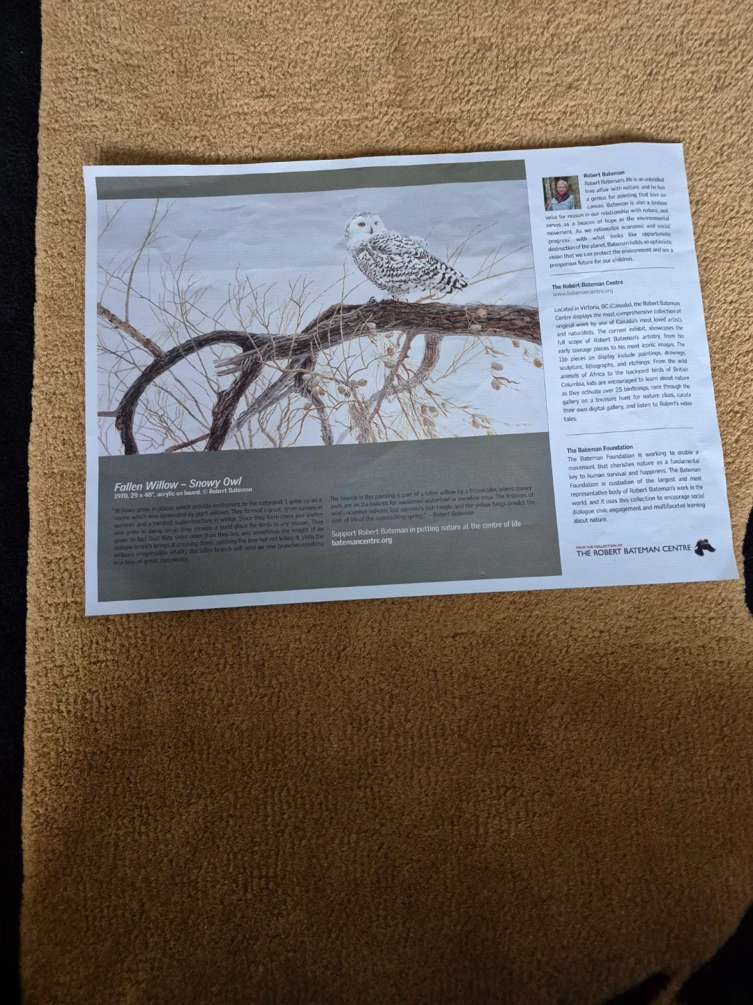 Cobble Hill Puzzle Company "Fallen Willow - Snowy Owl" 500 Piece - photo 2