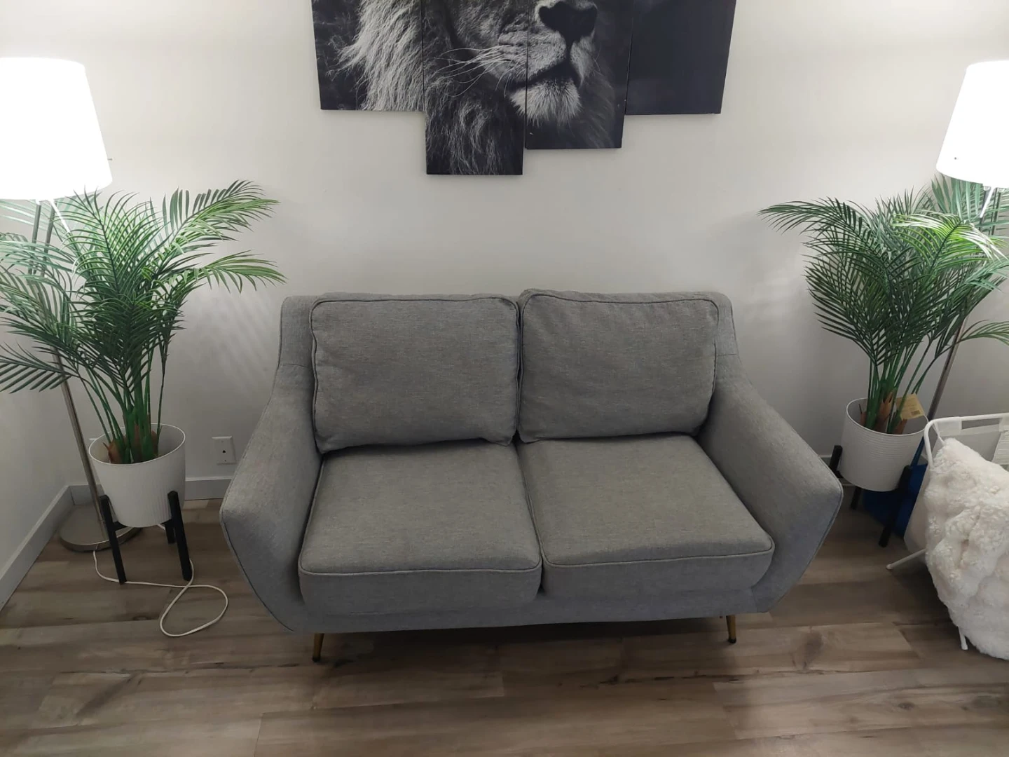 Sofa set with gold legs