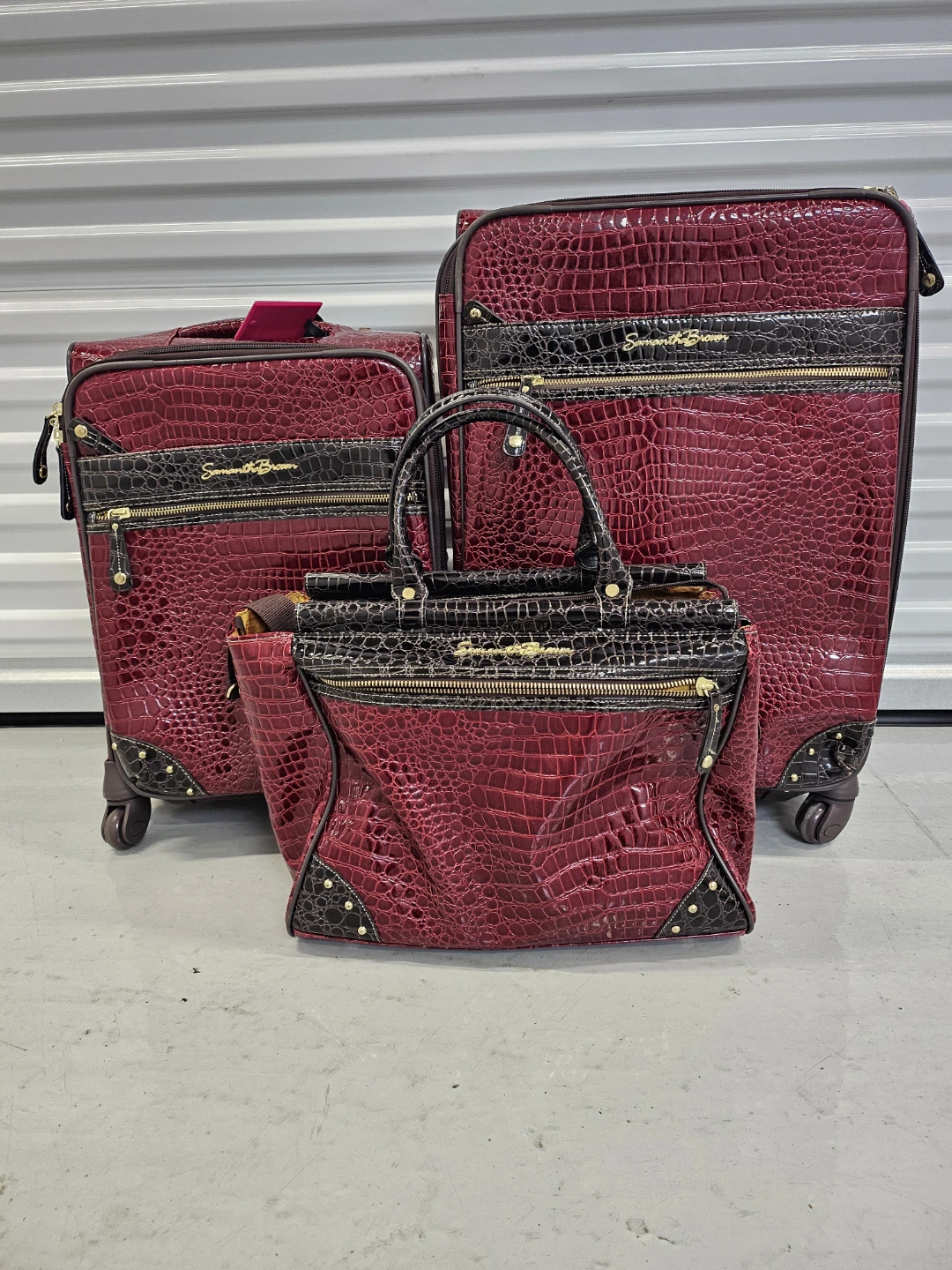 Samantha Brown Crocodile Embossed Luggage Set