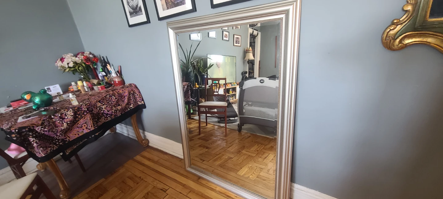 Large Silver Frame Mirror