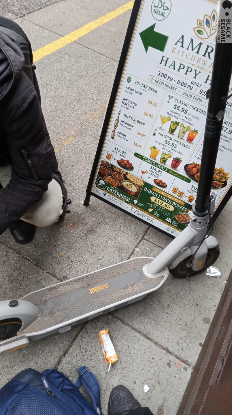 Ninebot Electric Scooter