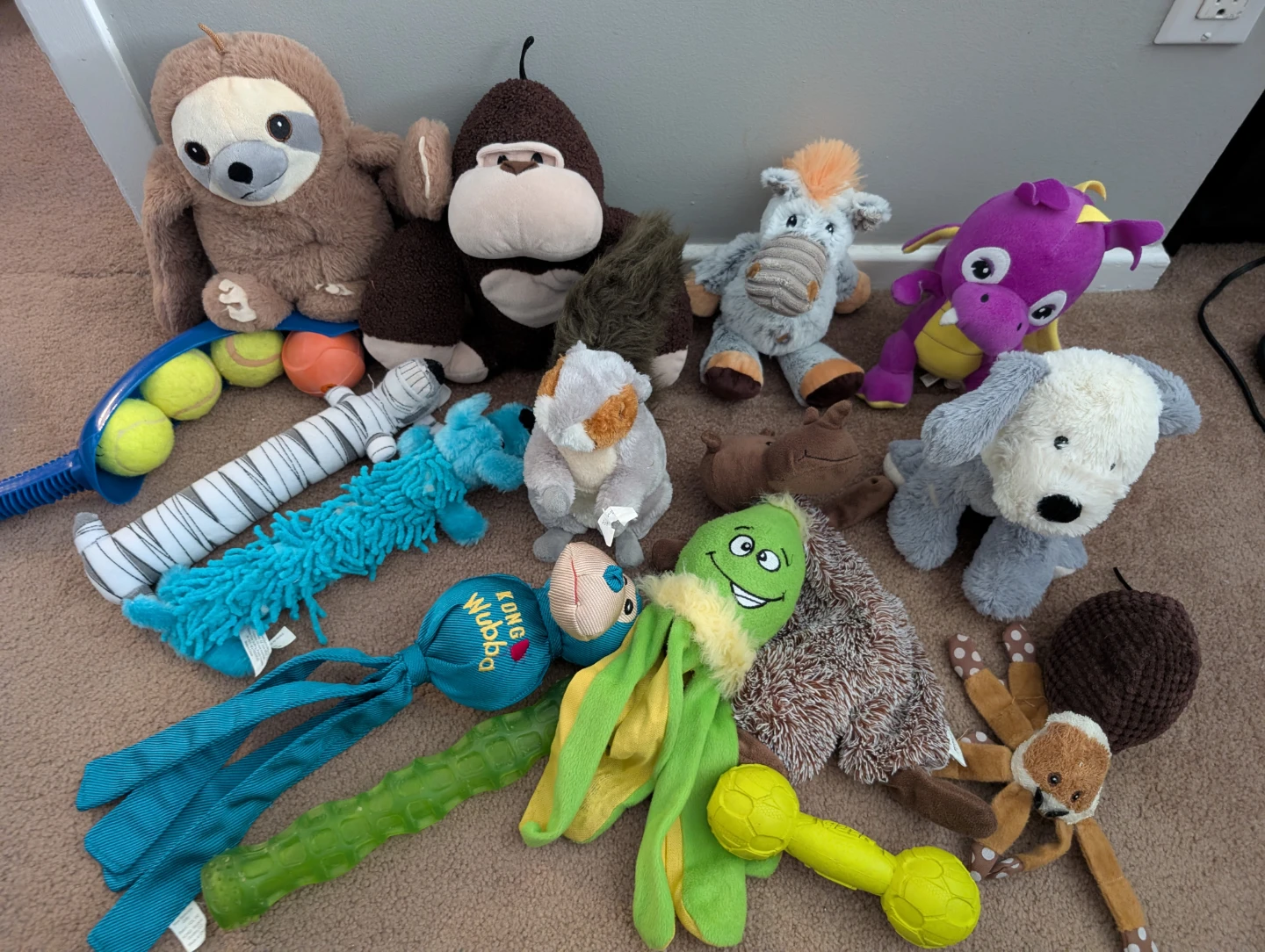 Assorted Dog Plush Toys