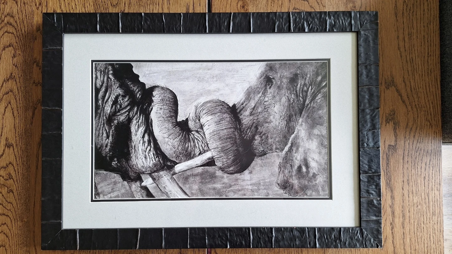Framed Elephant Print