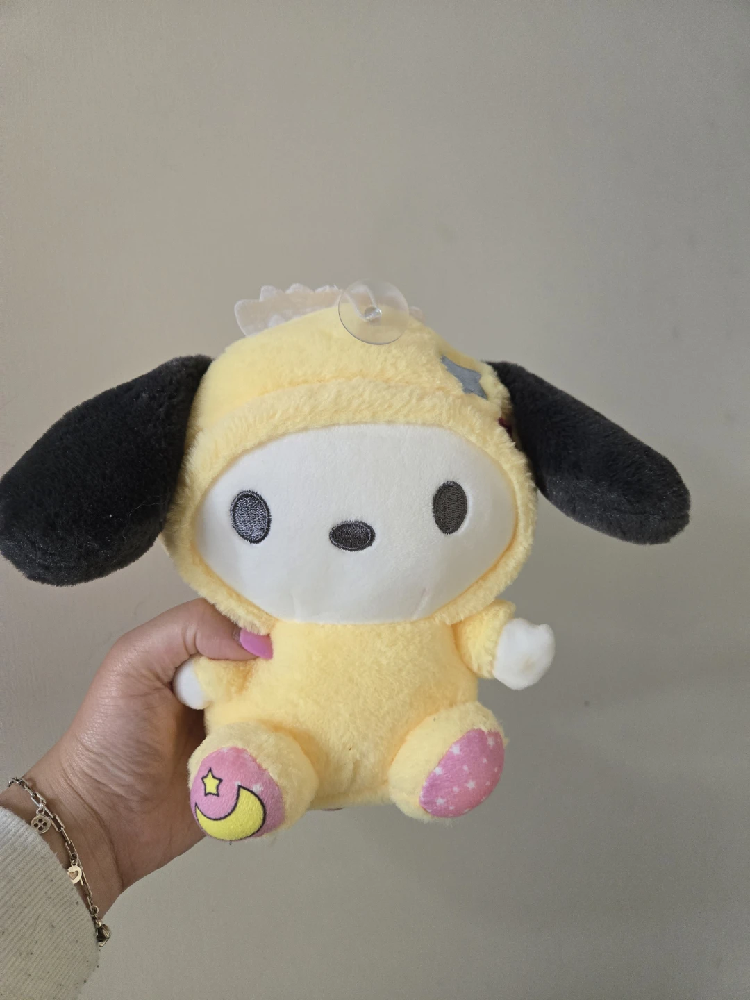 Sanrio Pochacco Plushie
