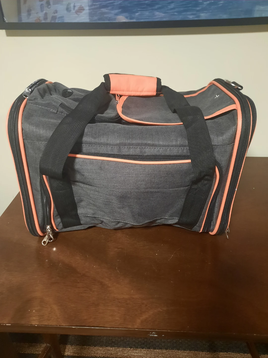 Pet Carrier Bag - photo 3