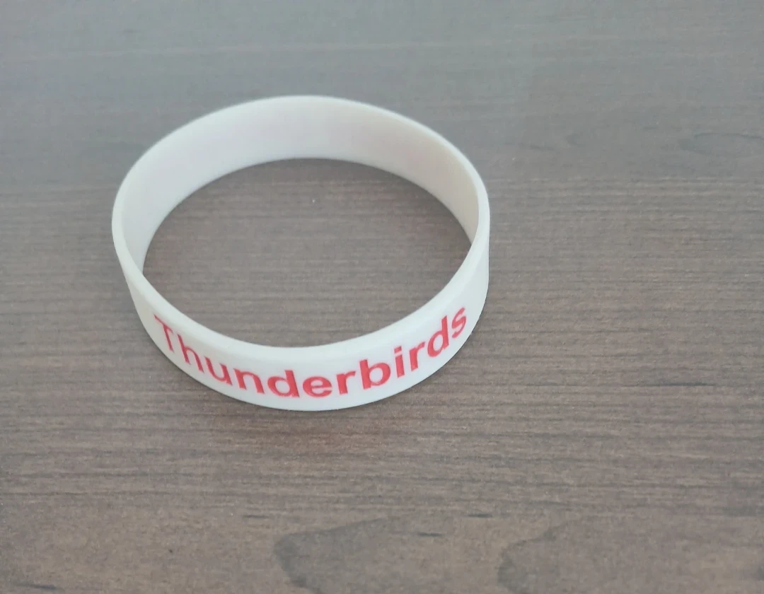 Algoma University Thunderbirds Silicone Wristband - photo 2
