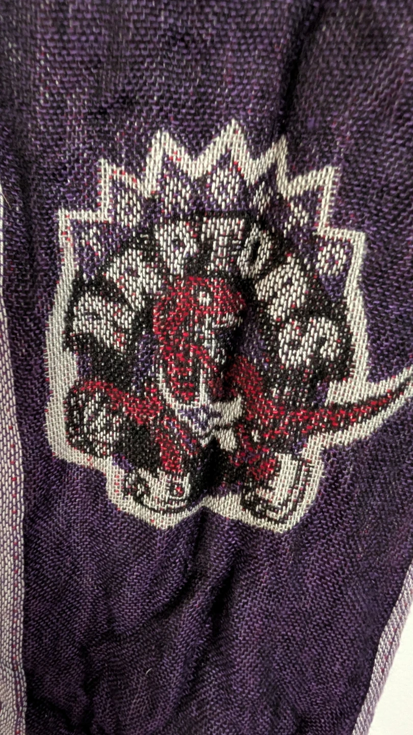 Toronto Raptors Purple Striped Scarf - photo 2
