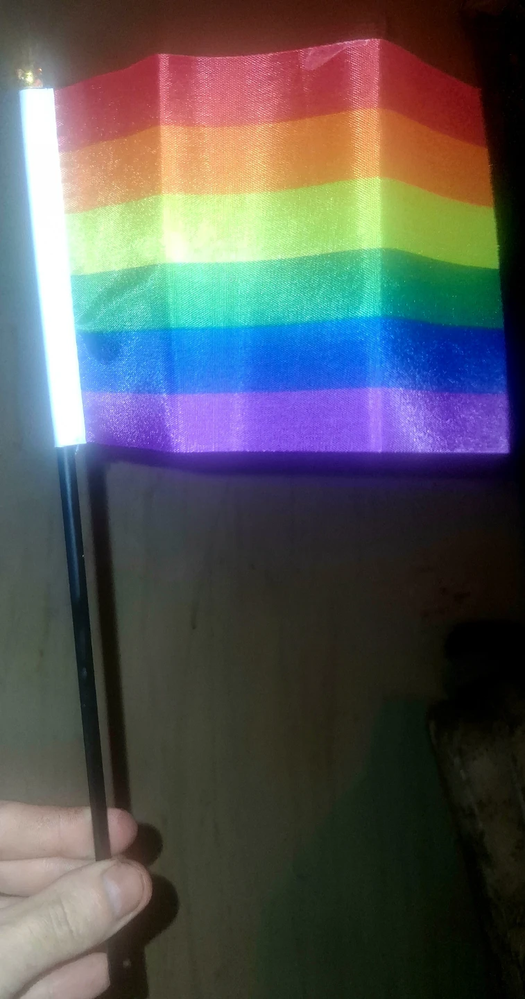 Rainbow Pride Flag on Stick (Small)