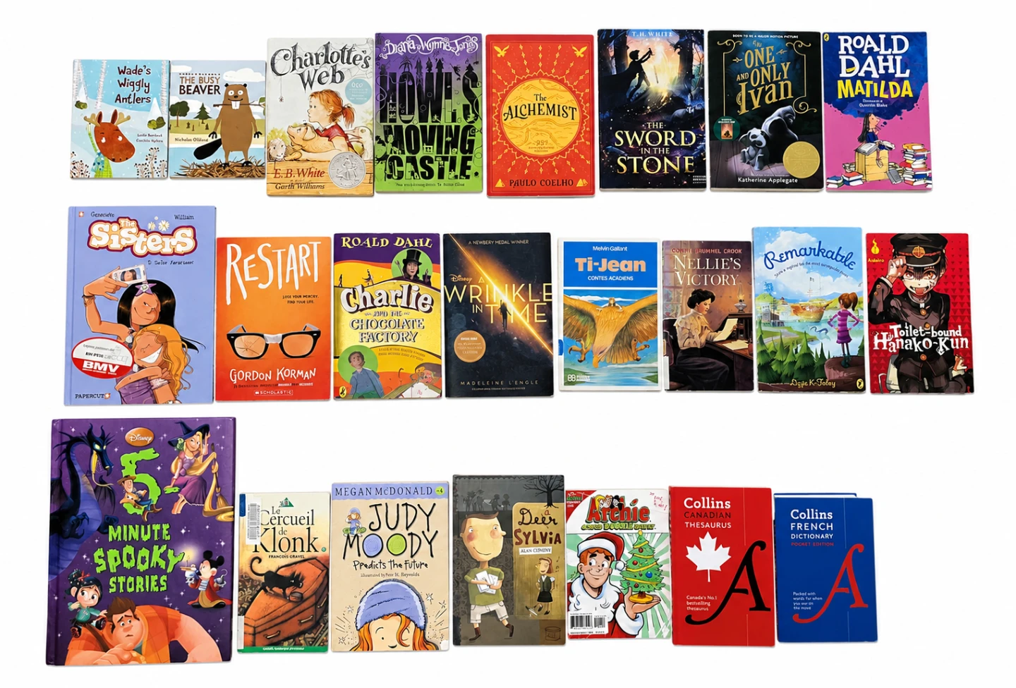 Huge Kids Book Bundle (23 Books)
