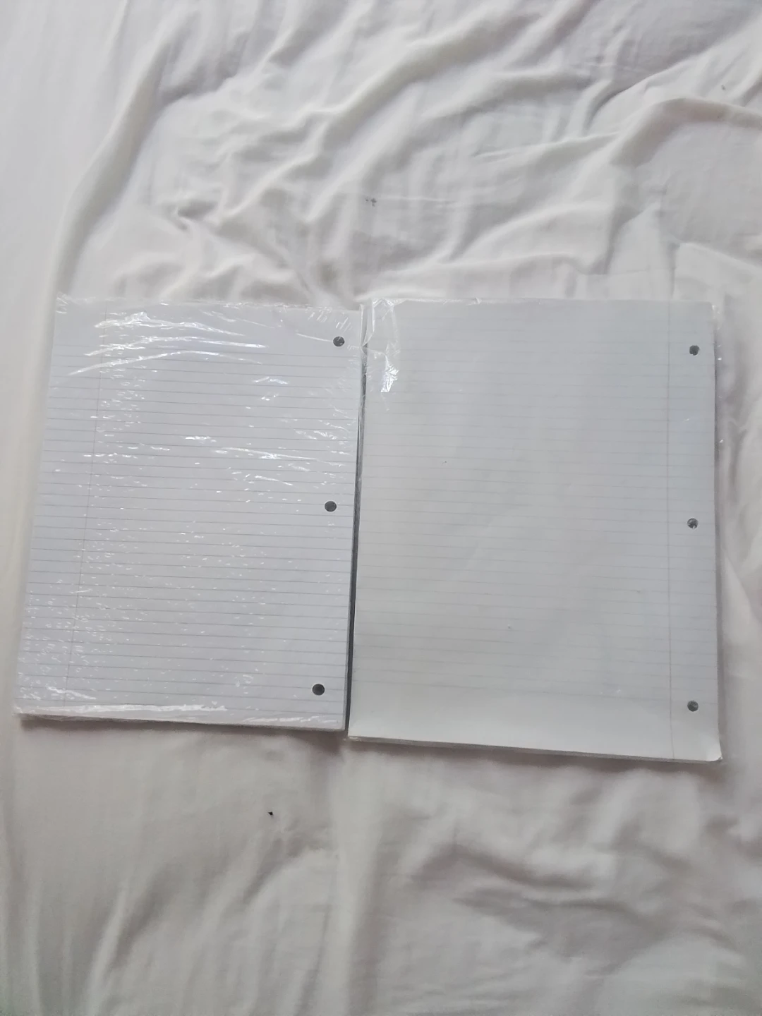 Loose Leaf Lined Paper