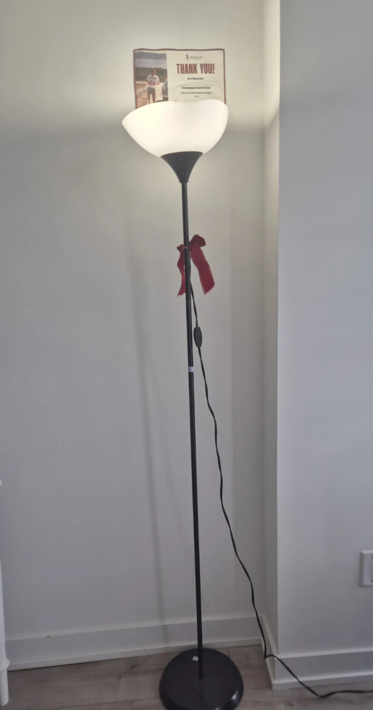 Black Floor Lamp with White Shade - photo 2