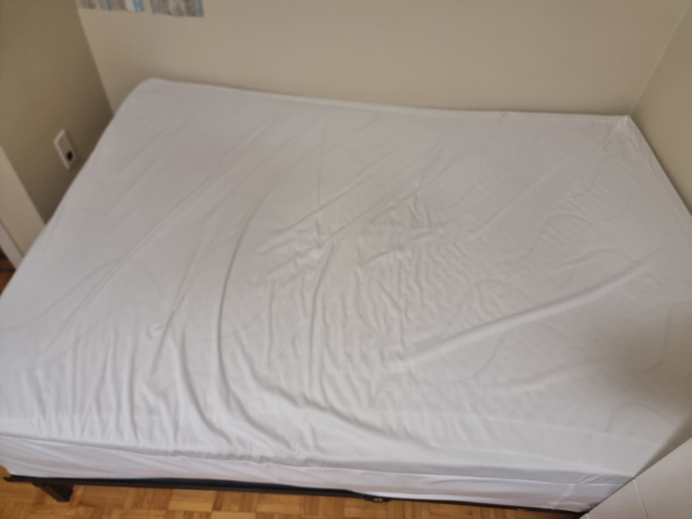 Double Mattress (no bed bug) - photo 2
